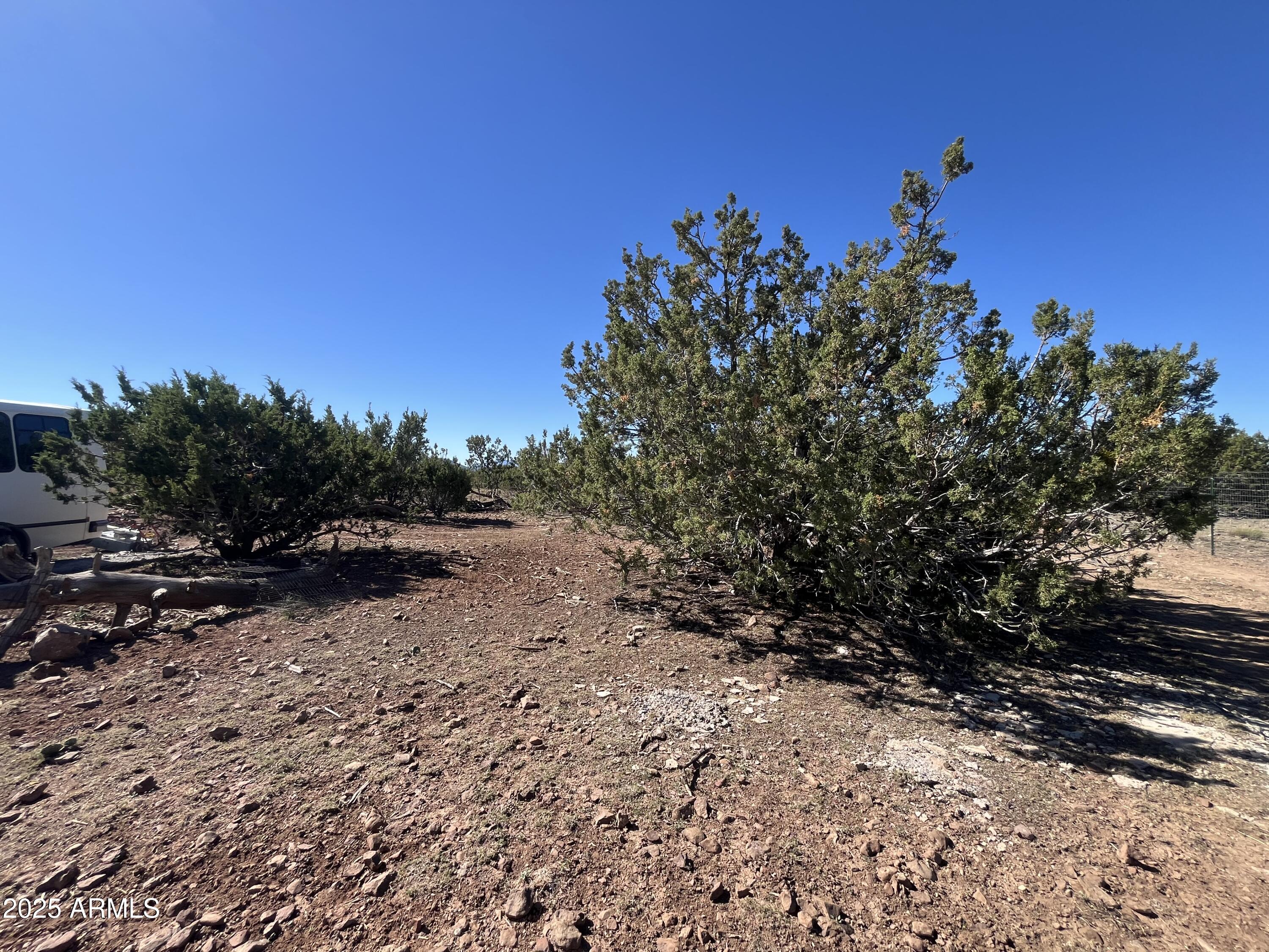613 Mountain Cat Road, Unit 511 Williams, AZ 86046 - Photo 5 of 26 a view of a dry yard with lots of green space