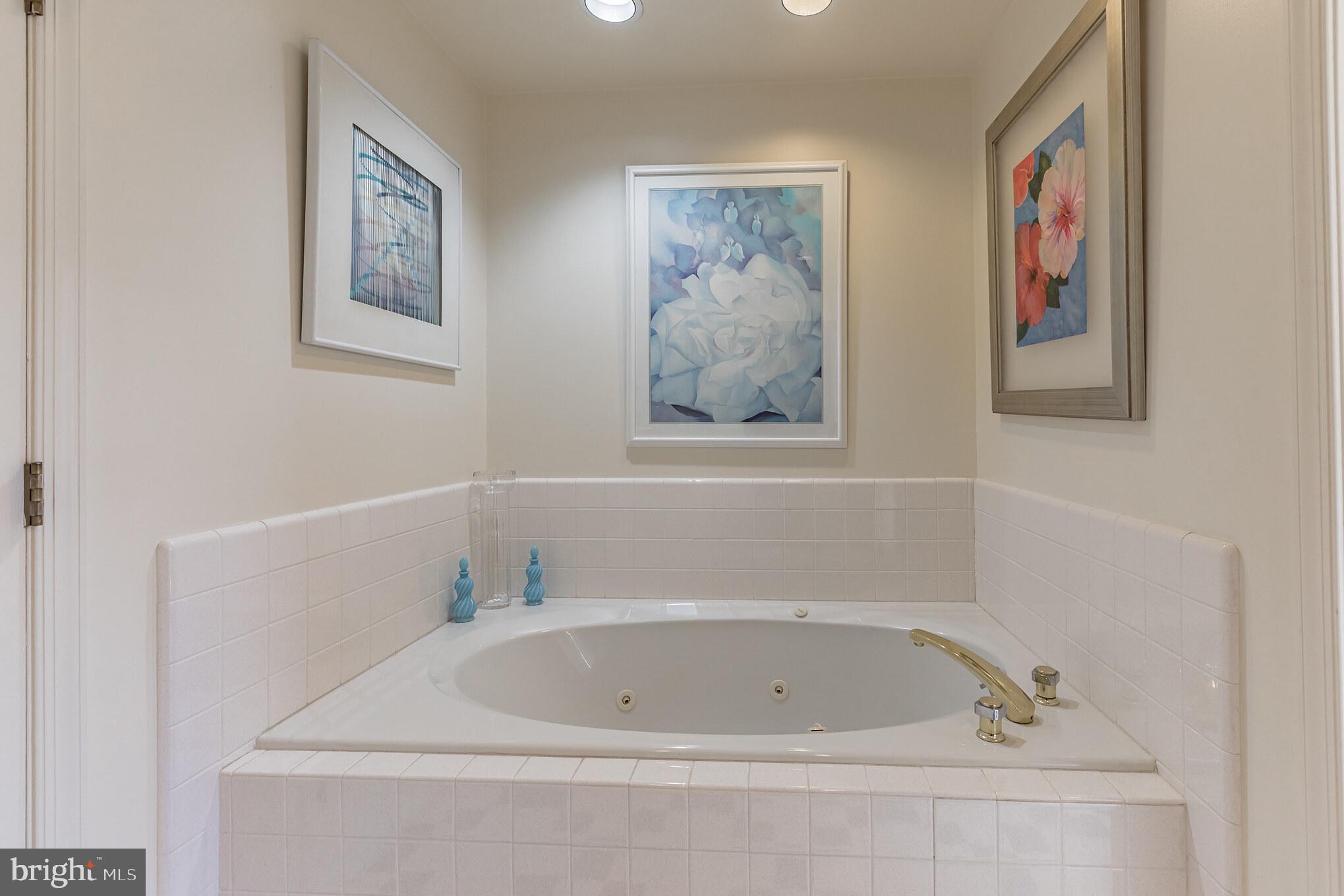 10 Clwyd Road Bala Cynwyd, PA 19004 - Photo 24 of 26 MASTER BATH