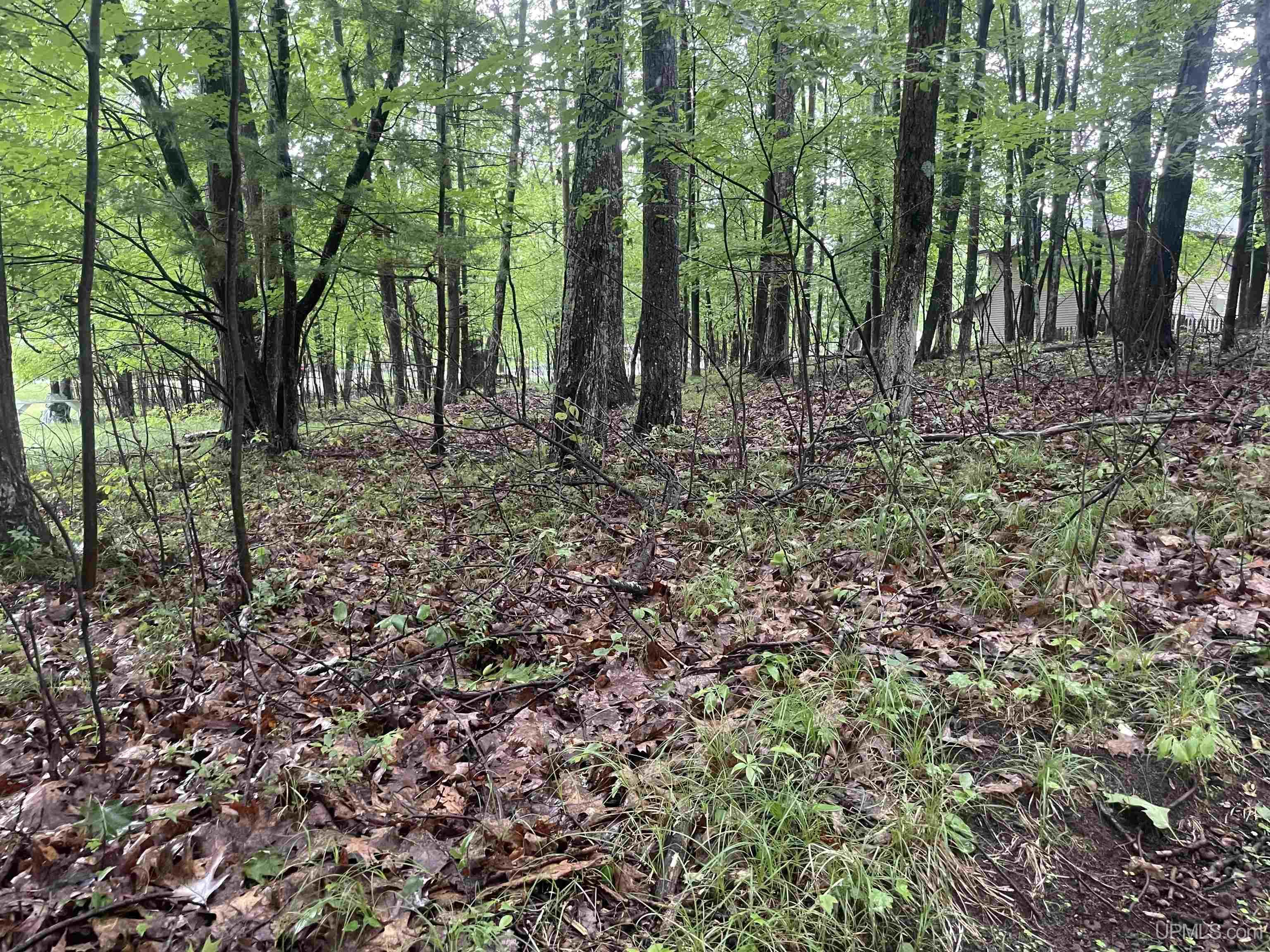 7772 Tipperary Road Gladstone, MI 49837 - Photo 3 of 5