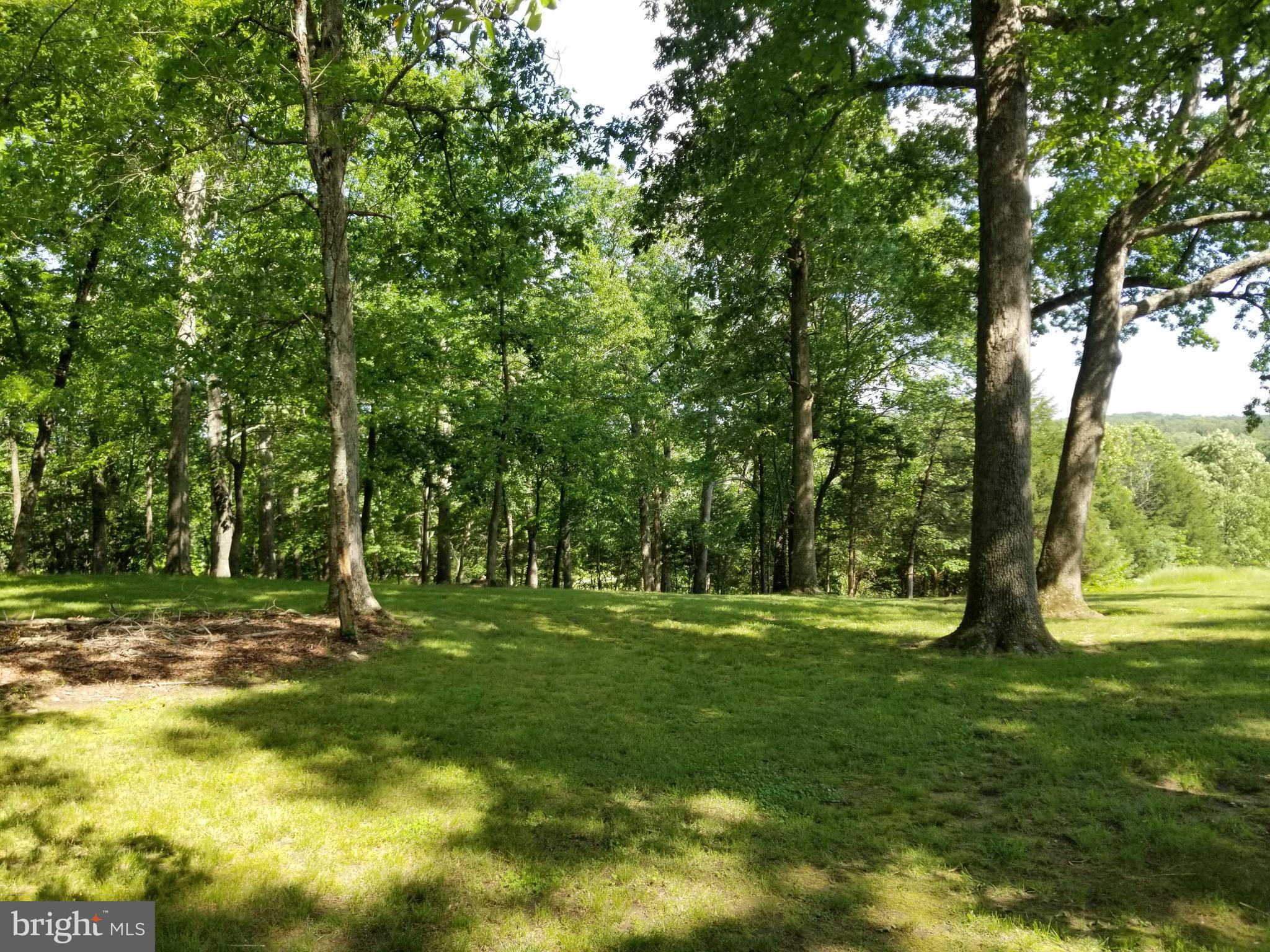 5925 Moore Road Marshall, VA 20115 - Photo 45 of 63 backyard