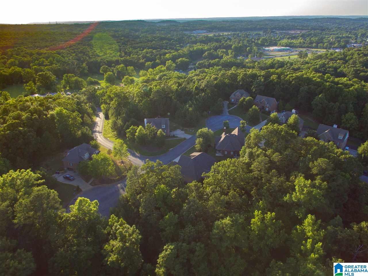 215 Mountain Lake Trail Alabaster, AL 35007 - Photo 46 of 48