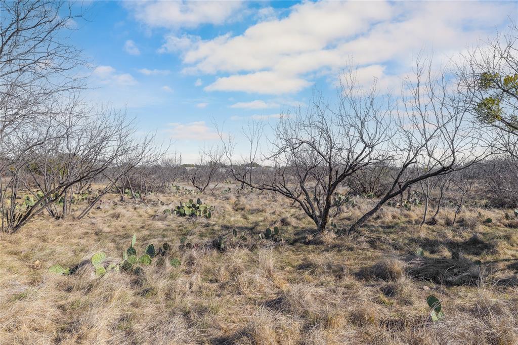 3393 Doe Trail Road Brownwood, TX 76801 - Photo 26 of 29 a view of a dry yard with trees