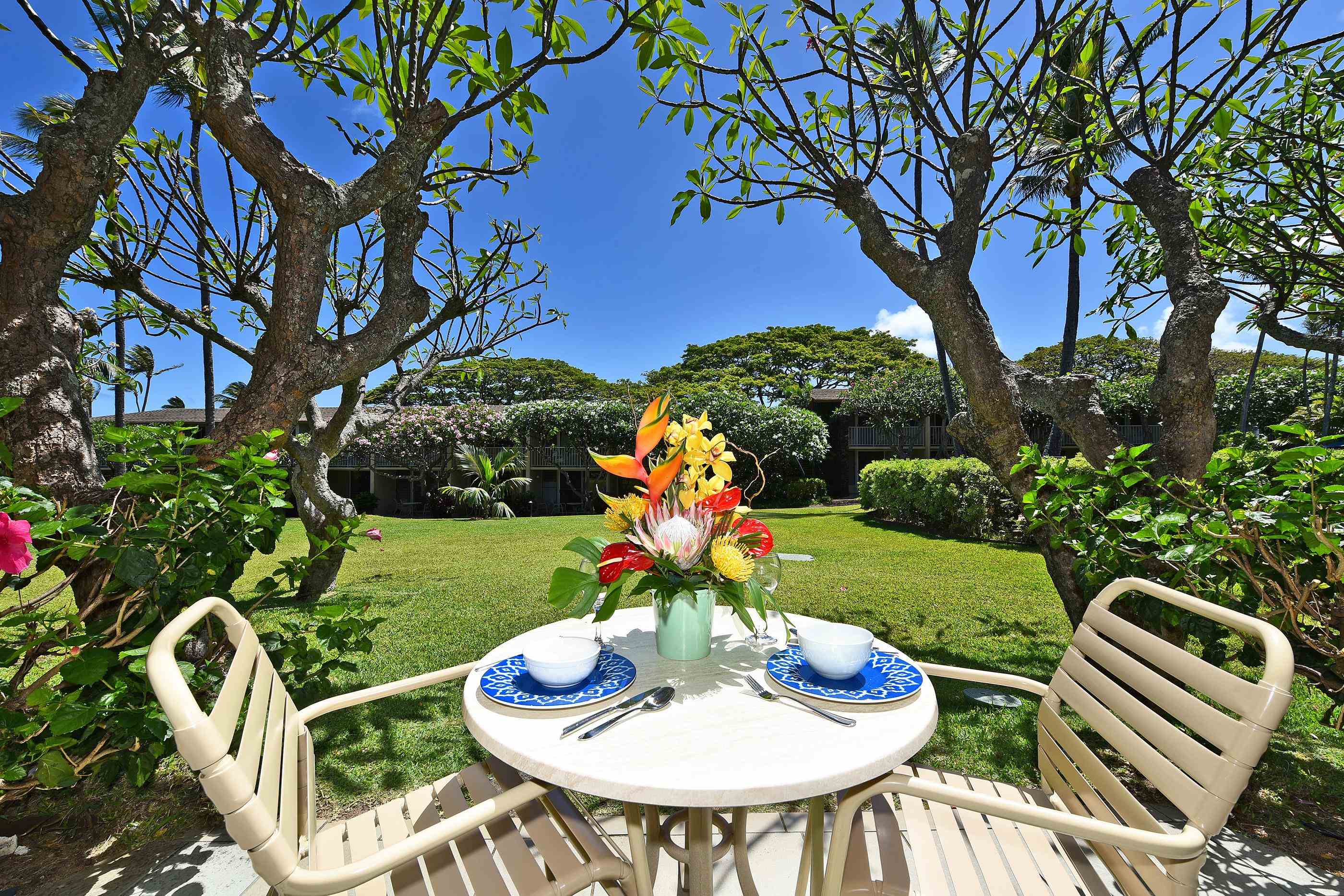 a table and chairs in a garden