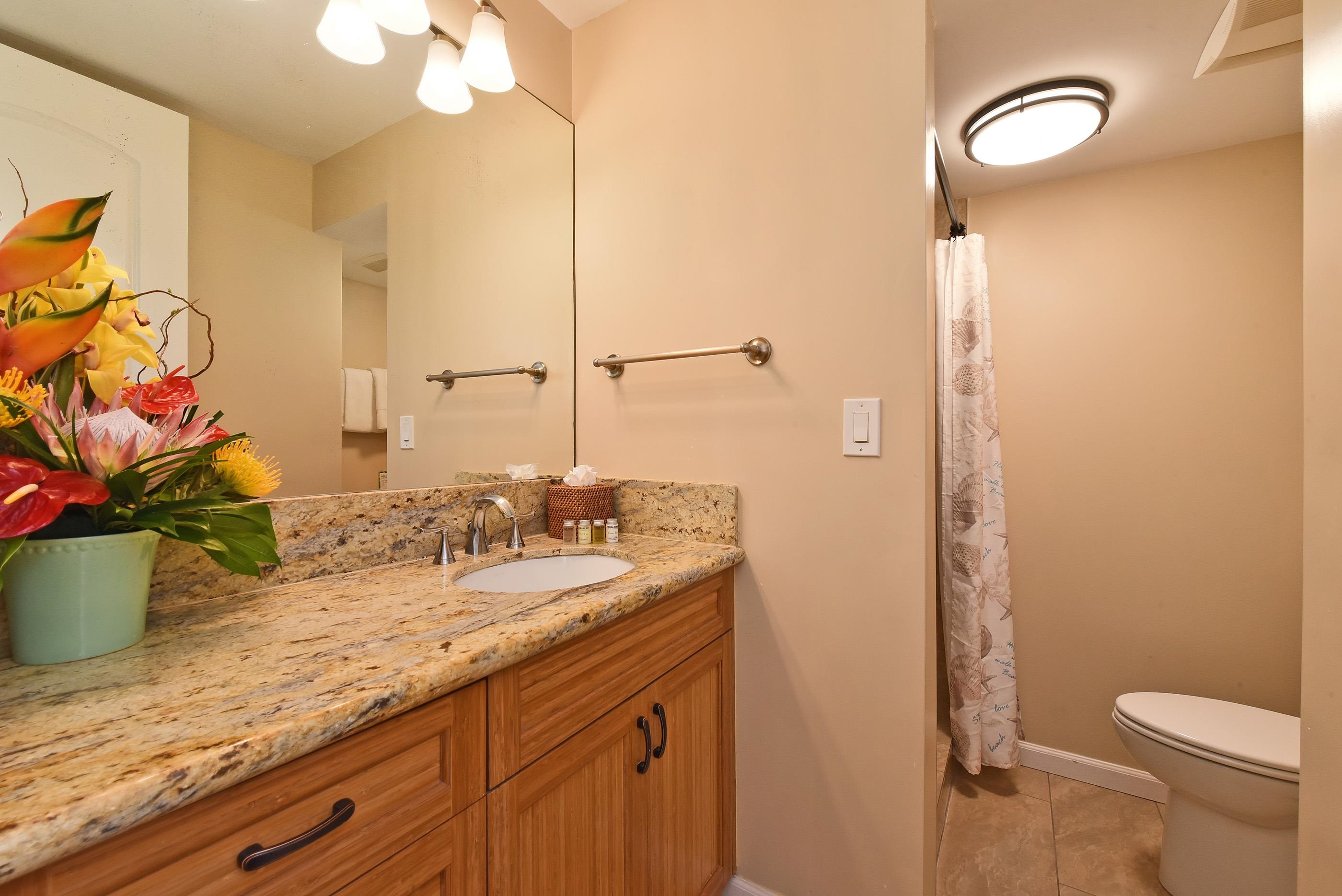 5315 Lower Honoapiilani Road, Unit F147 Lahaina, HI 96761 - Photo 19 of 41 a bathroom with a granite countertop sink a toilet and a mirror