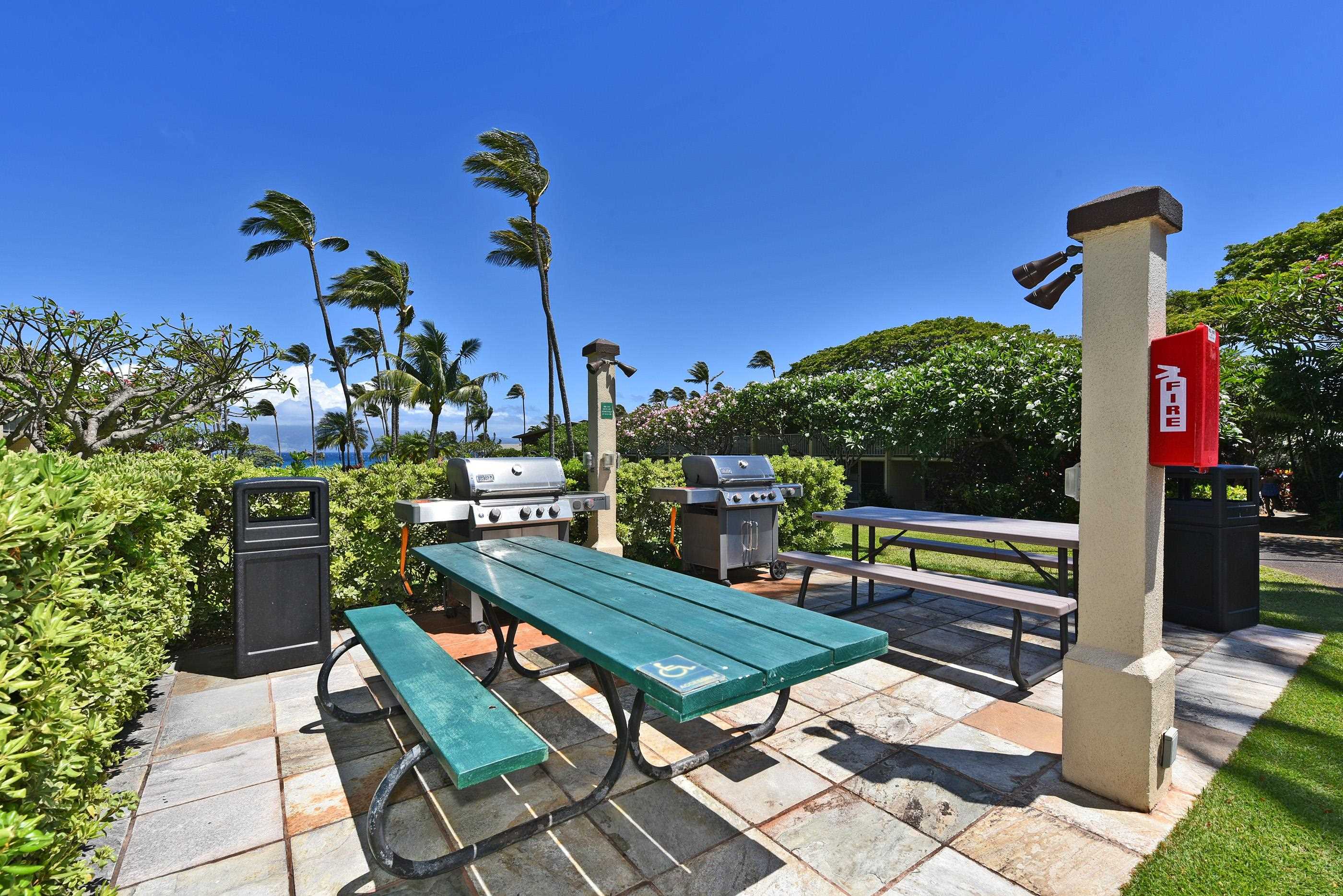 5315 Lower Honoapiilani Road, Unit F147 Lahaina, HI 96761 - Photo 28 of 41 a roof deck with table and chairs potted plants