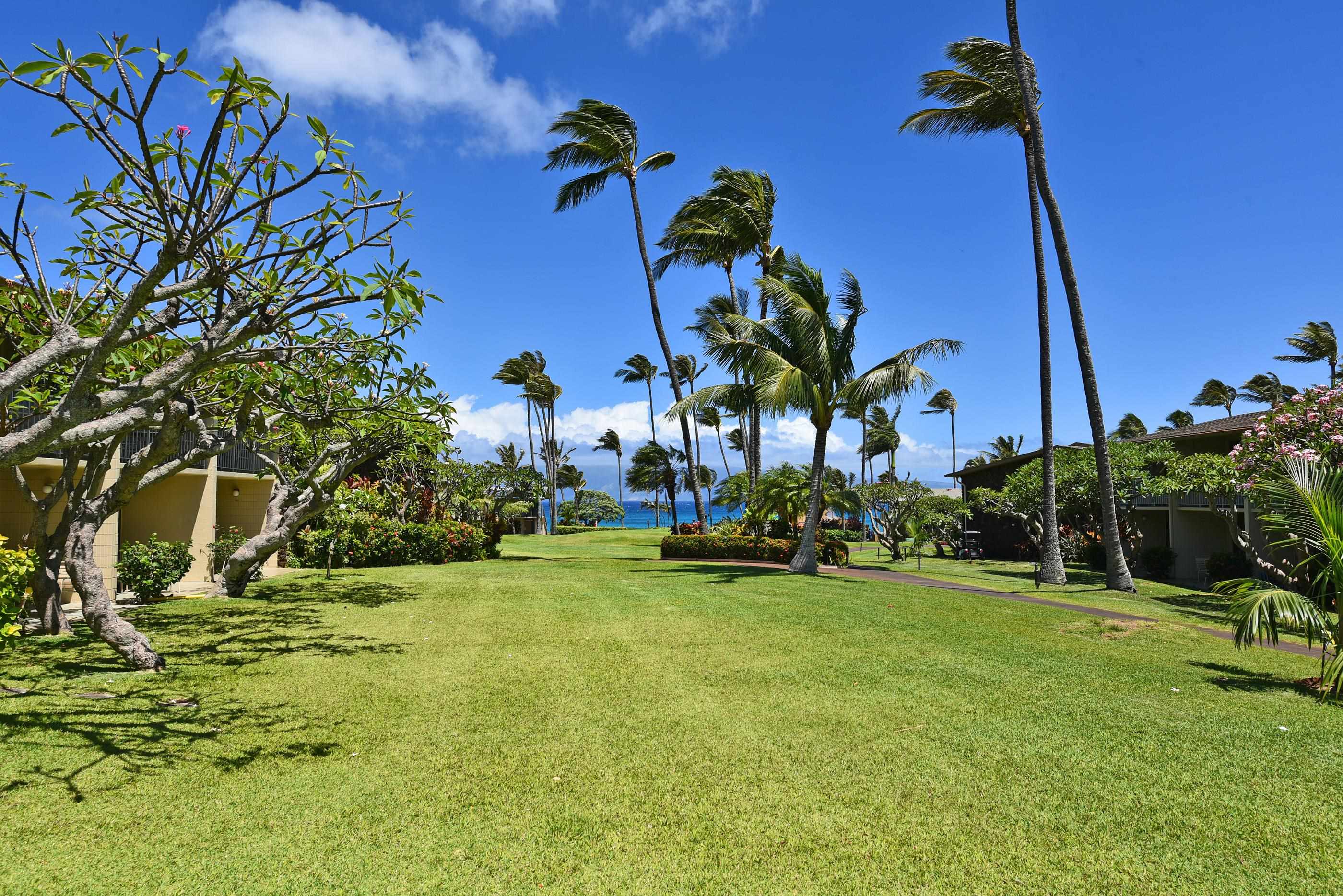 5315 Lower Honoapiilani Road, Unit F147 Lahaina, HI 96761 - Photo 34 of 41 a view of a golf course with a tree