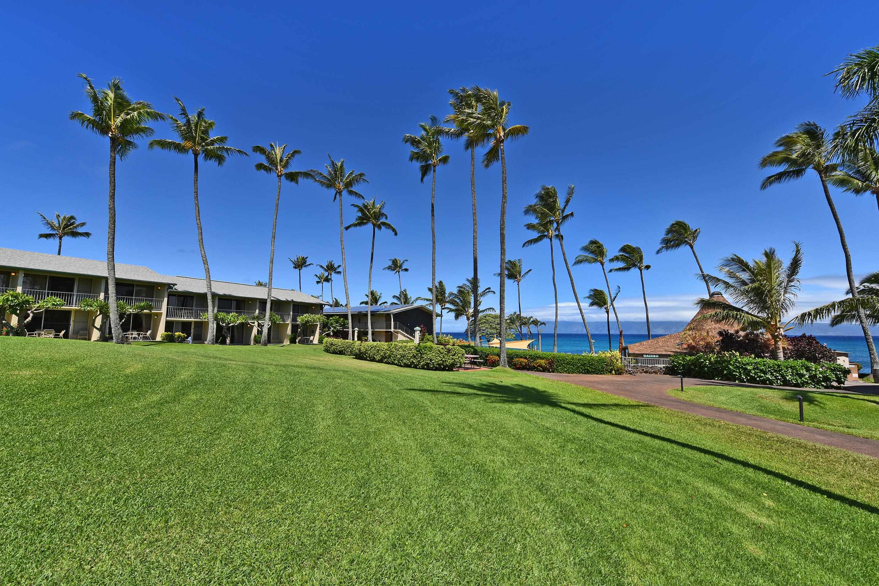 5315 Lower Honoapiilani Road, Unit F147 Lahaina, HI 96761 - Photo 35 of 41 a view of a house with a yard and a palm tree
