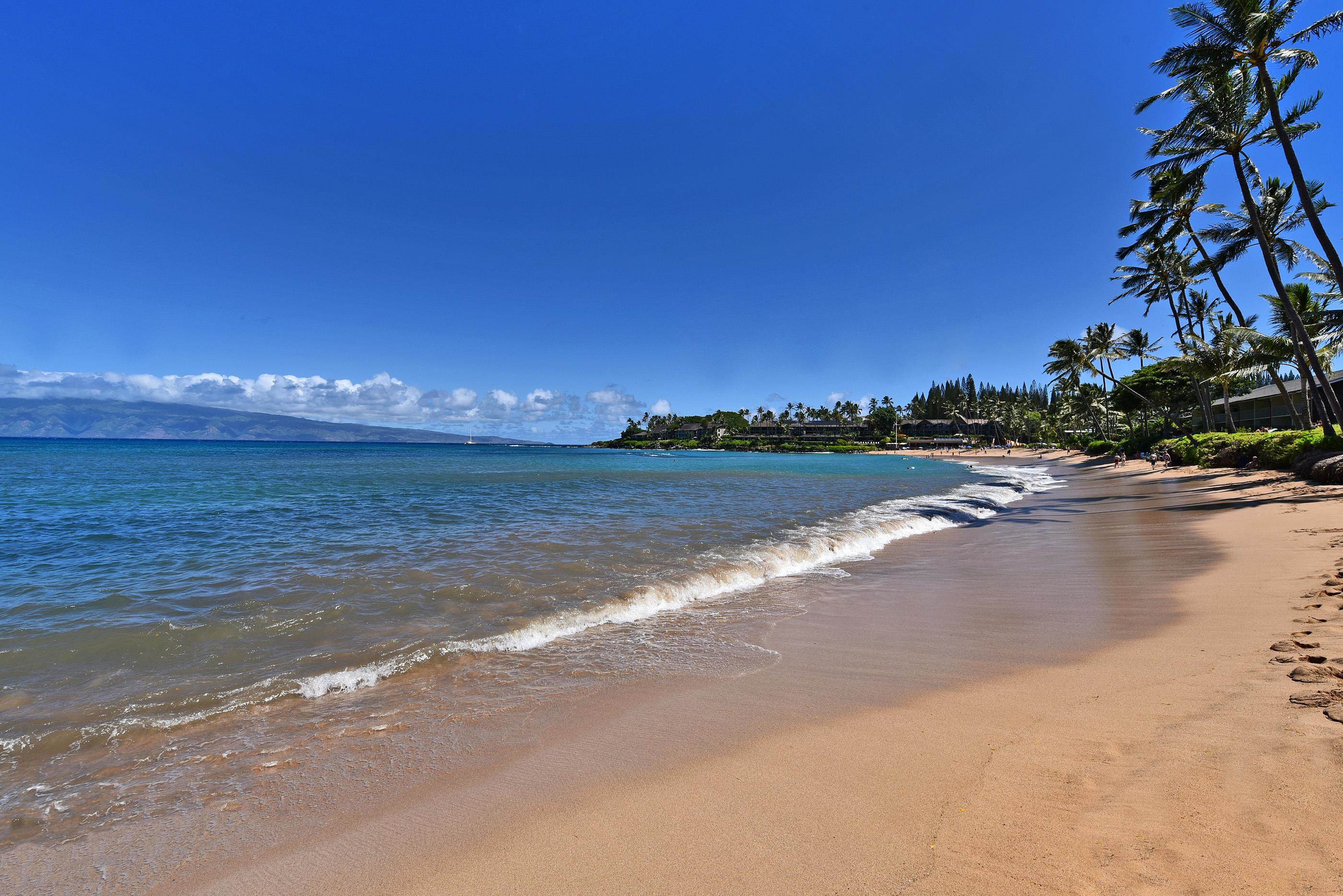 5315 Lower Honoapiilani Road, Unit F147 Lahaina, HI 96761 - Photo 39 of 41 a view of a lake with a big yard
