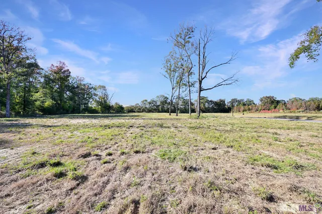$65,000 | Lot 19 Duncan Avenue, Jackson, LA 70748