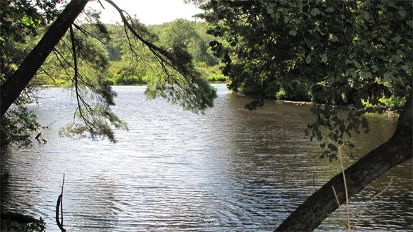 108 River Road Norfolk, MA 02056 - Photo 22 of 27 Gallery Image 22