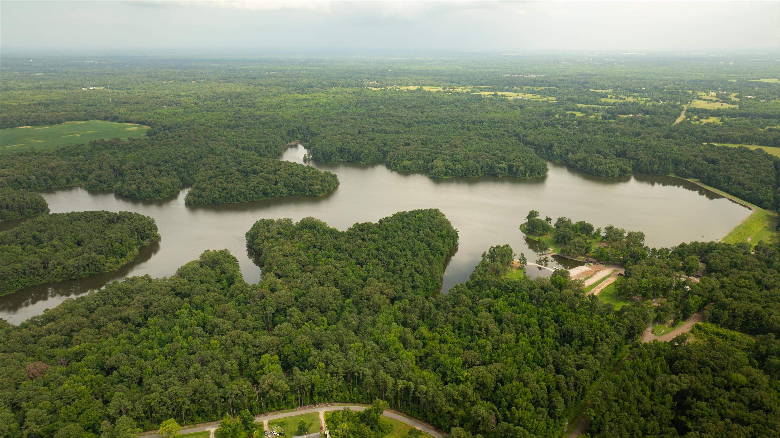 815 Fisherville Road Collierville, TN 38017 - Photo 39 of 40 a view of a lake with a city