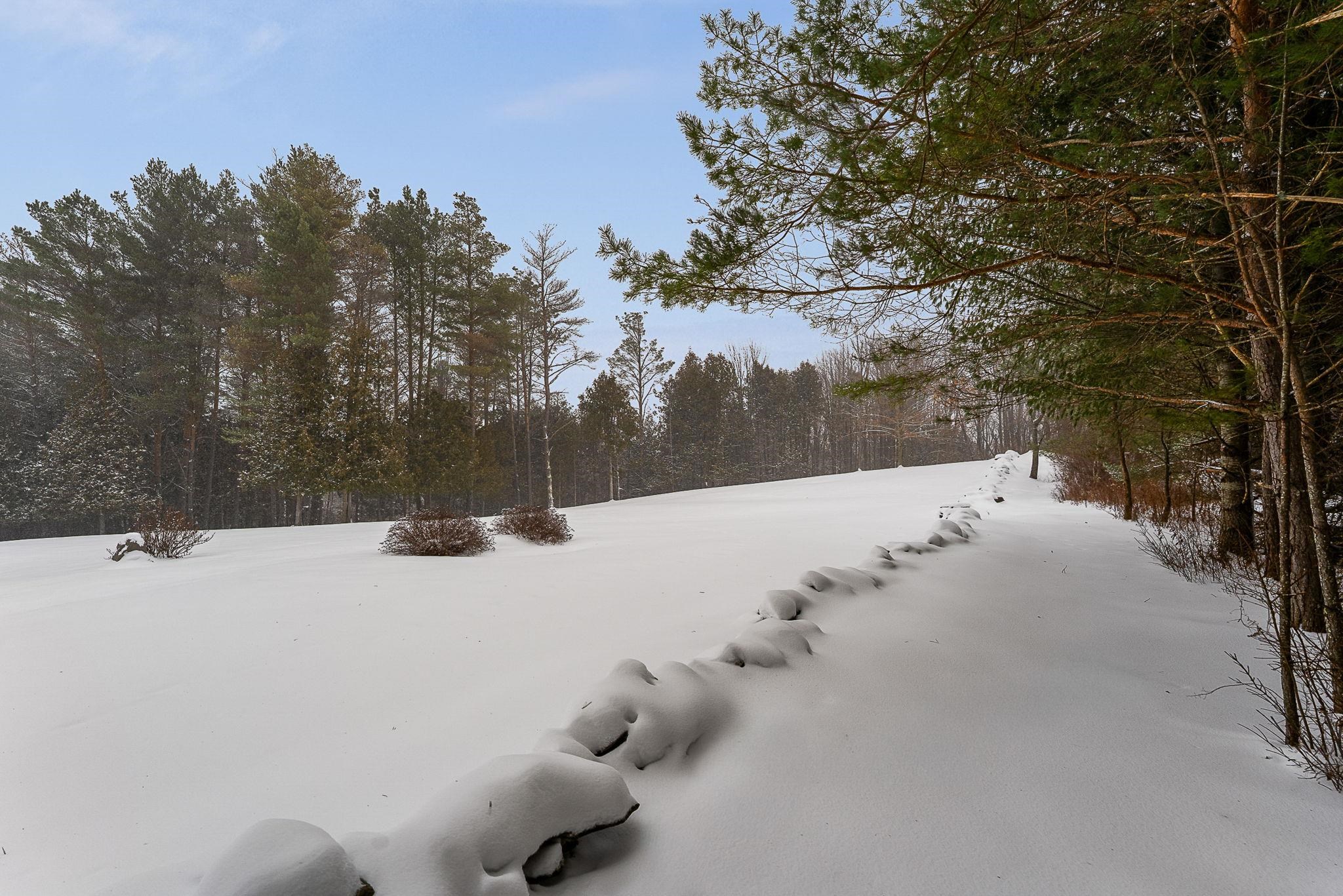 102 Bluebird Road Williamstown, VT 05679 - Photo 5 of 50