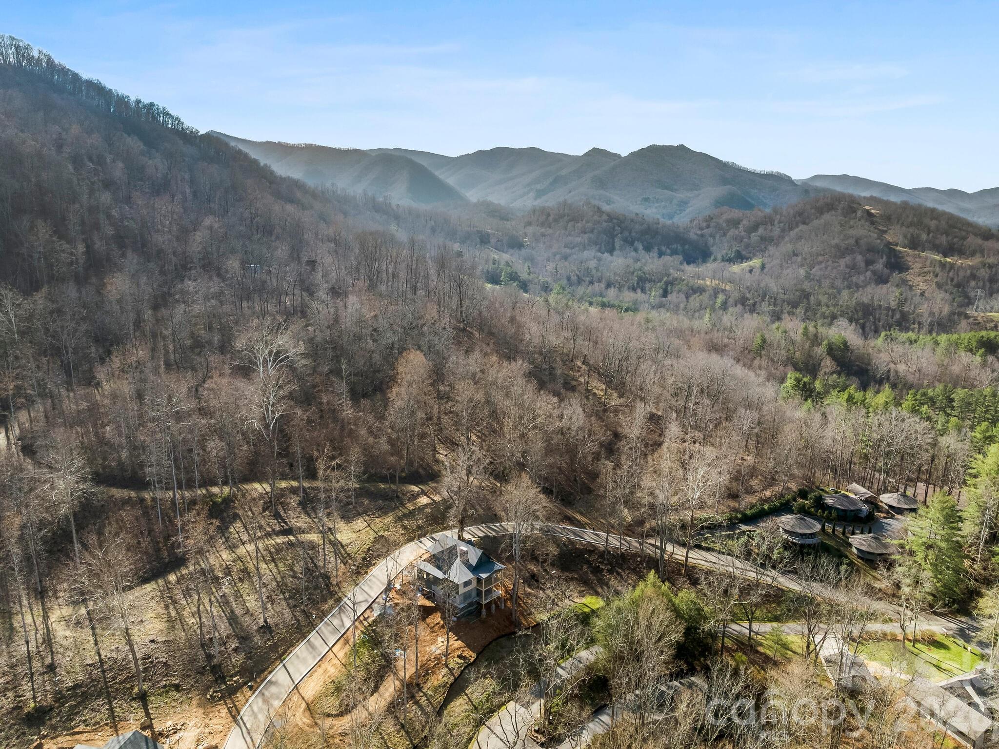 51 Bear Tree Cove Canton, NC 28716 - Photo 15 of 17 a view of a forest with mountains in the background