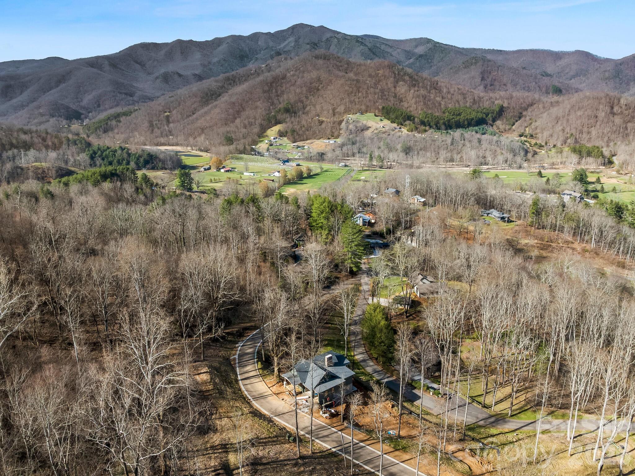 51 Bear Tree Cove Canton, NC 28716 - Photo 16 of 17 a view of a lot of trees and houses