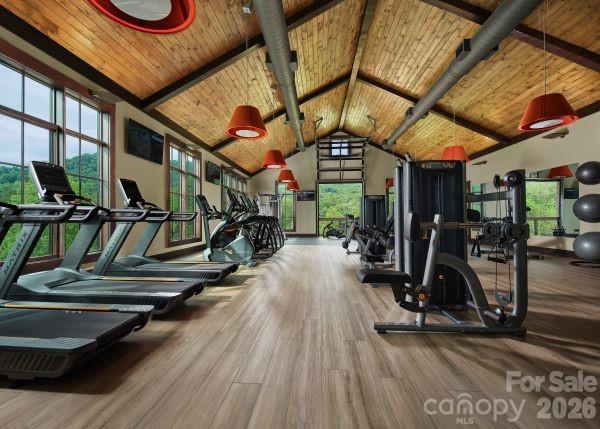 51 Bear Tree Cove Canton, NC 28716 - Photo 6 of 17 a view of gym