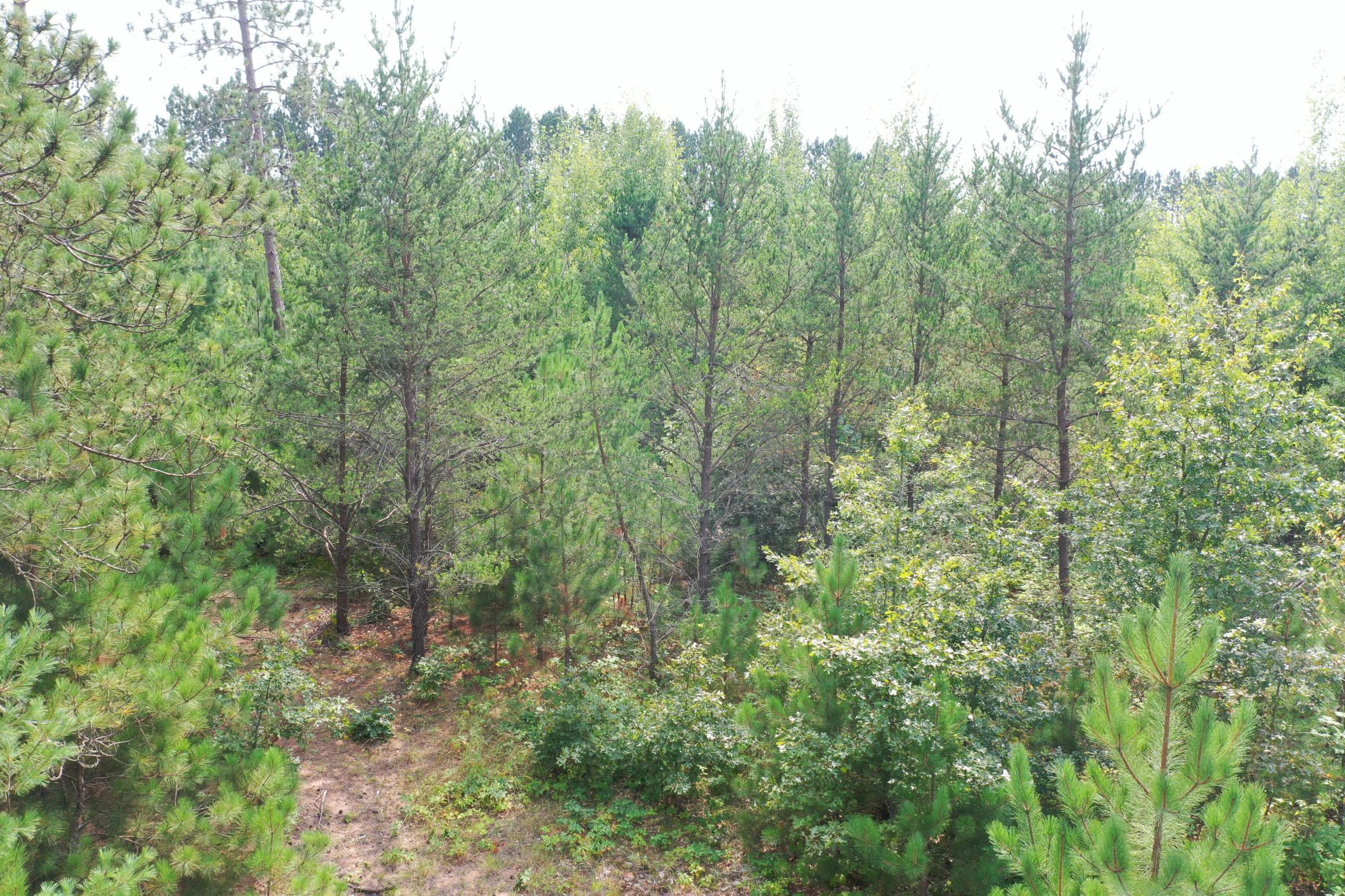 6752 Pike Bend Road Webster, WI 54893 - Photo 1 of 1
