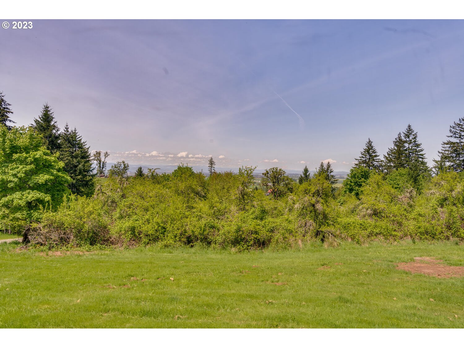 16845 Southeast Walnut Hill Road Amity, OR 97101 - Photo 42 of 48 a view of a field with trees and a background