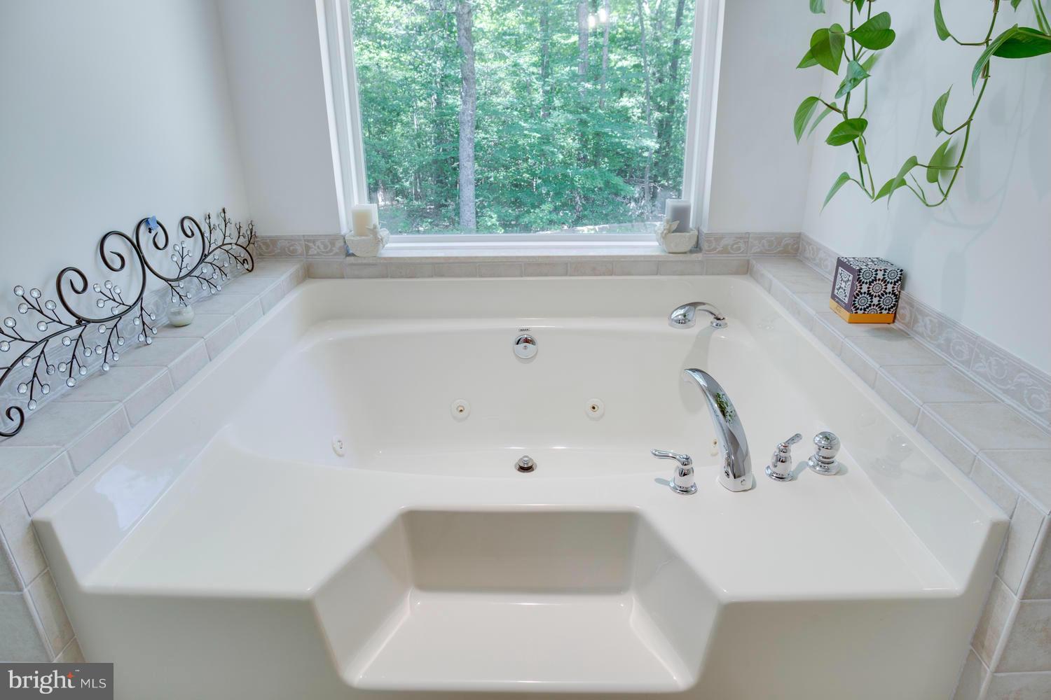 42420 Medleys Neck Road Leonardtown, MD 20650 - Photo 20 of 30 Bath (Master)