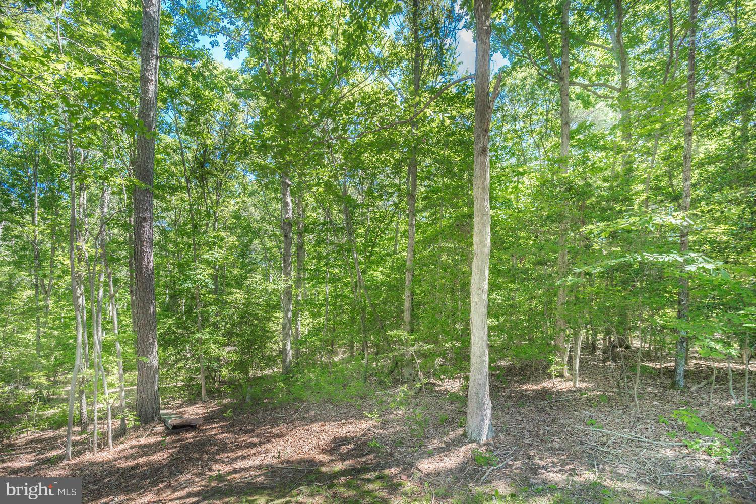 42420 Medleys Neck Road Leonardtown, MD 20650 - Photo 30 of 30 Exterior (Rear)