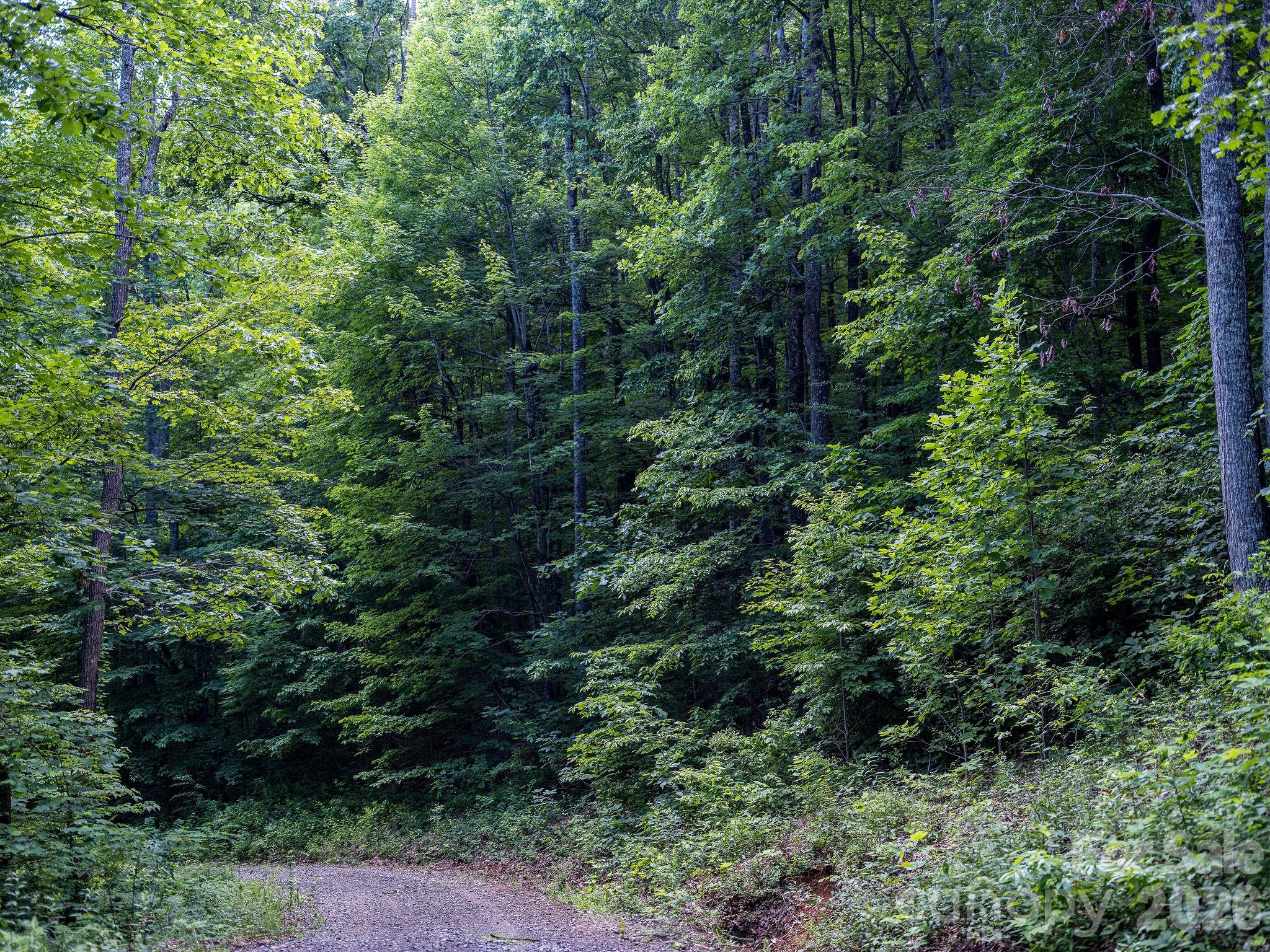 8 Carls Cove Road Hendersonville, NC 28792 - Photo 15 of 25