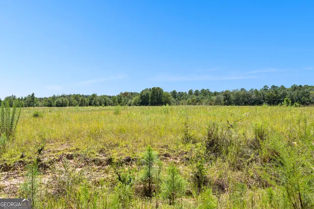 $250,000 | 0 West Fall Line Freeway, Butler, GA 31006