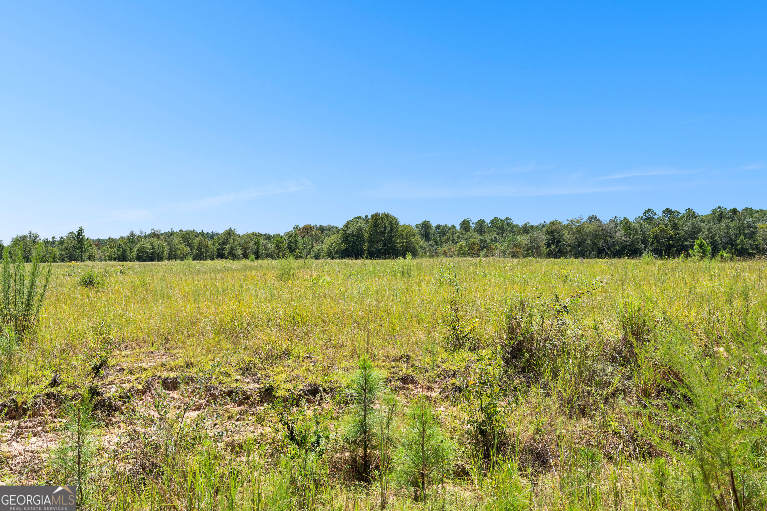 0 West Fall Line Freeway Butler, GA 31006 - Photo 16 of 18 a view of a lake and sunset