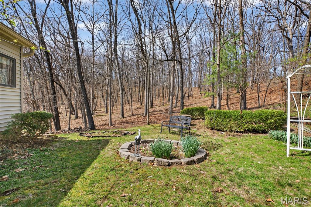 19463 Babler Forest Road Chesterfield, MO 63005 - Photo 36 of 40