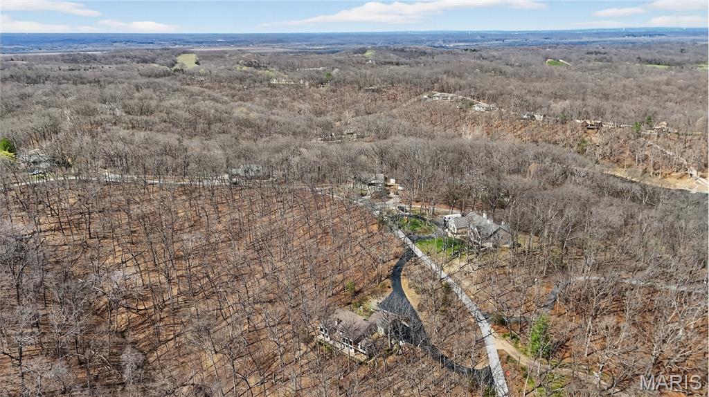 19463 Babler Forest Road Chesterfield, MO 63005 - Photo 39 of 40