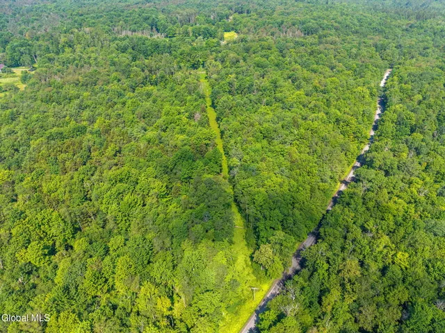 $55,000 | 135 Dragoo Road, Schenevus, NY 12155