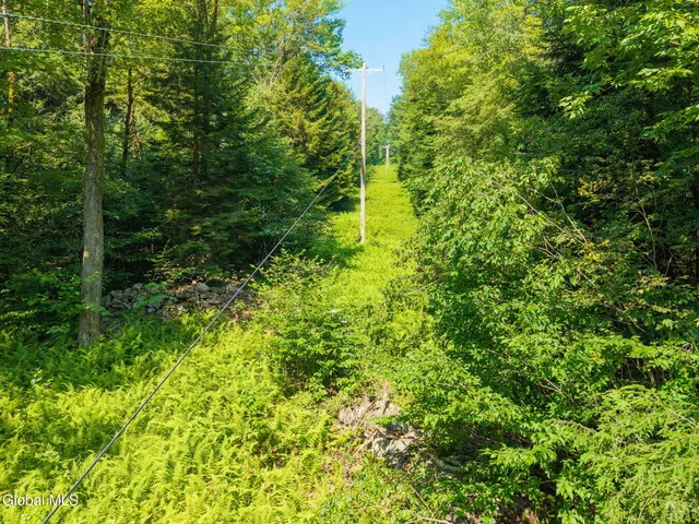 $55,000 | 135 Dragoo Road, Schenevus, NY 12155