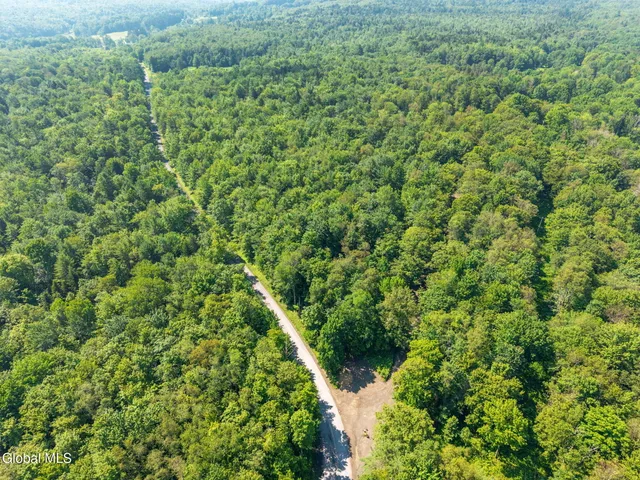 $55,000 | 135 Dragoo Road, Schenevus, NY 12155