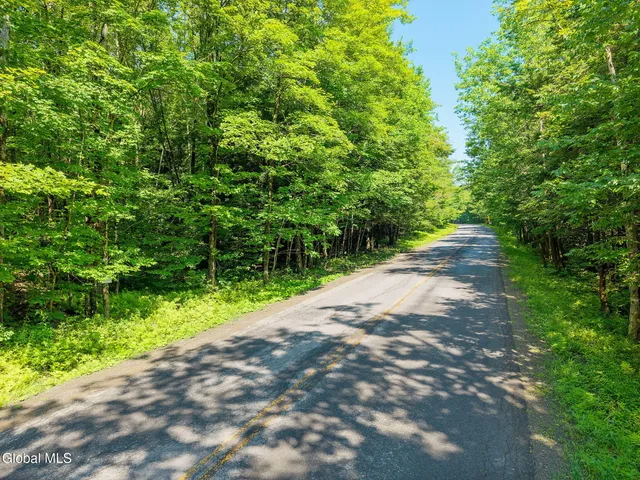 $55,000 | 135 Dragoo Road, Schenevus, NY 12155