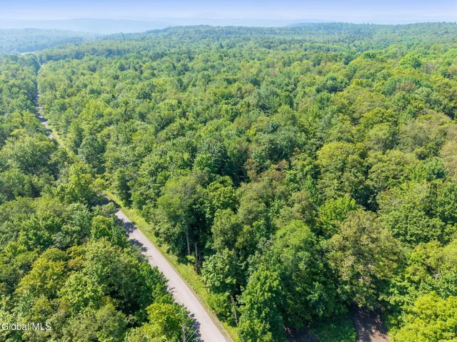 $55,000 | 135 Dragoo Road, Schenevus, NY 12155