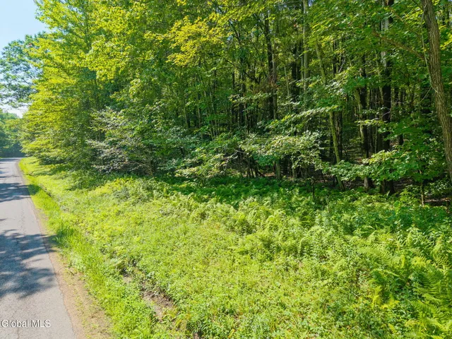 $55,000 | 135 Dragoo Road, Schenevus, NY 12155