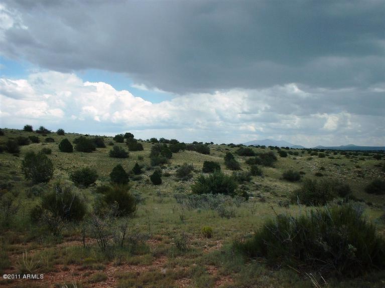 7925 Sharp Knife Road, Unit 716 Williams, AZ 86046 - Photo 3 of 5 property/views