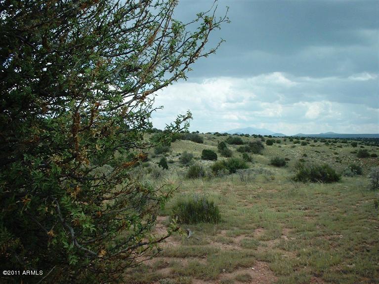 7925 Sharp Knife Road, Unit 716 Williams, AZ 86046 - Photo 4 of 5 property/views