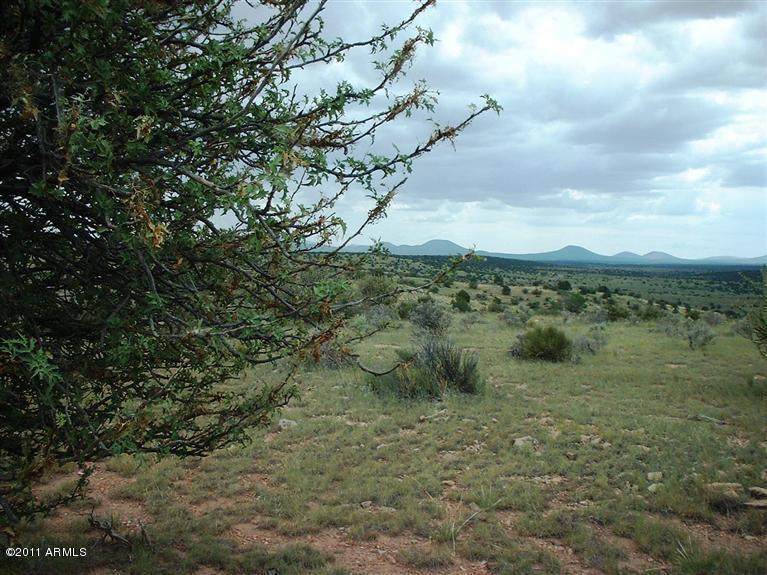 7925 Sharp Knife Road, Unit 716 Williams, AZ 86046 - Photo 5 of 5 property/views