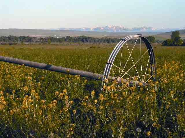 Three Forks Mount Three Forks, MT 59752 - Photo 1 of 1 Gallery Image 1