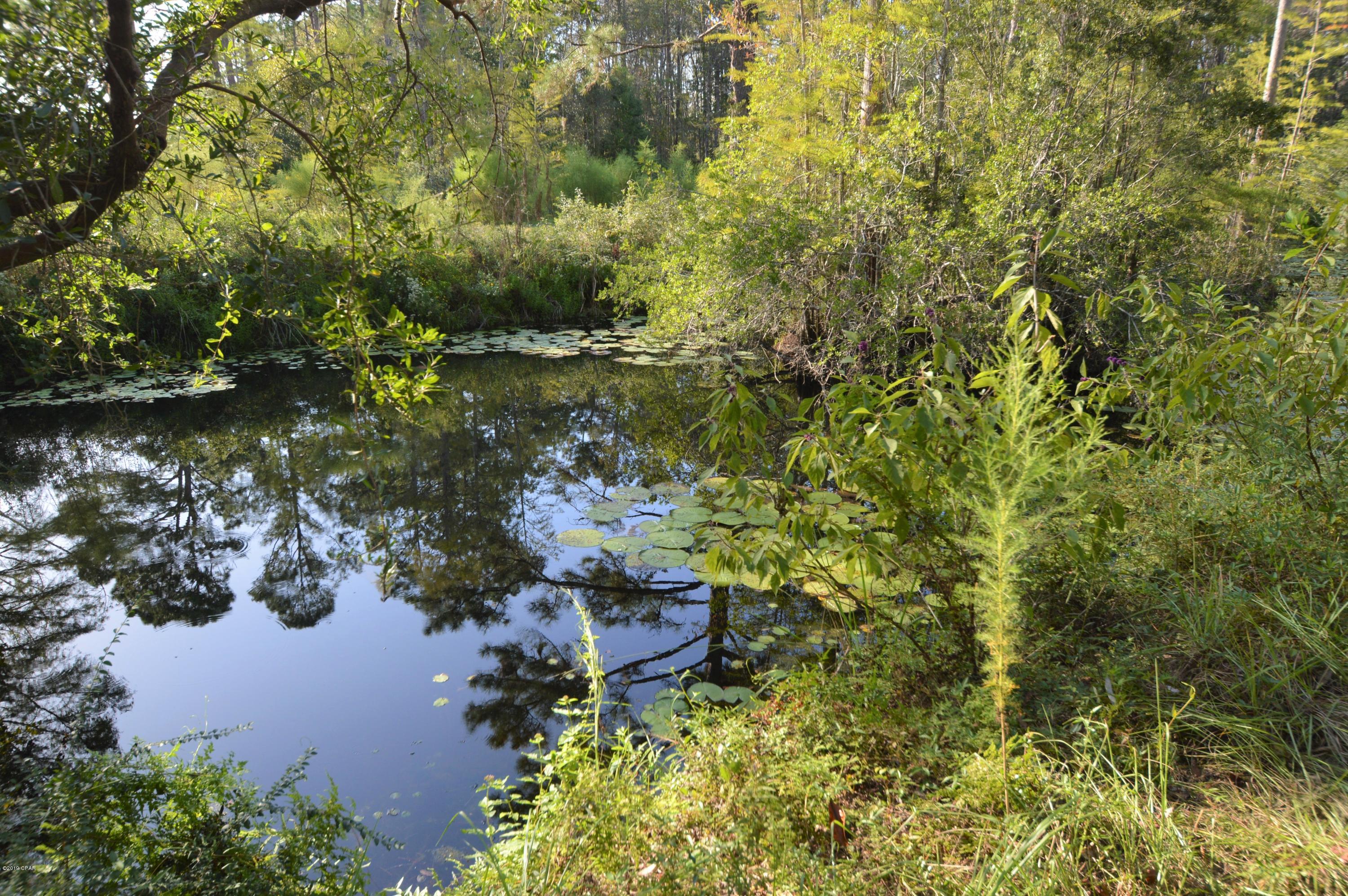 2367 Tiller Road Chipley, FL 32428 - Photo 7 of 22