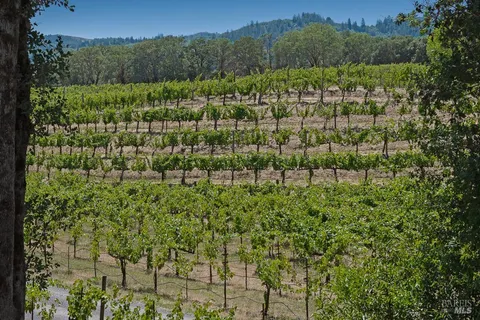 $4,495,000 | 5519 Dry Creek Road, Healdsburg, CA 95448