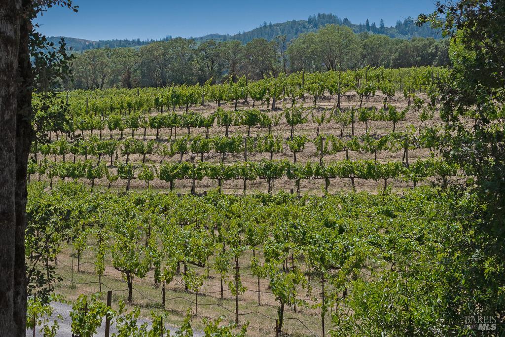 5519 Dry Creek Road Healdsburg, CA 95448 - Photo 40 of 43