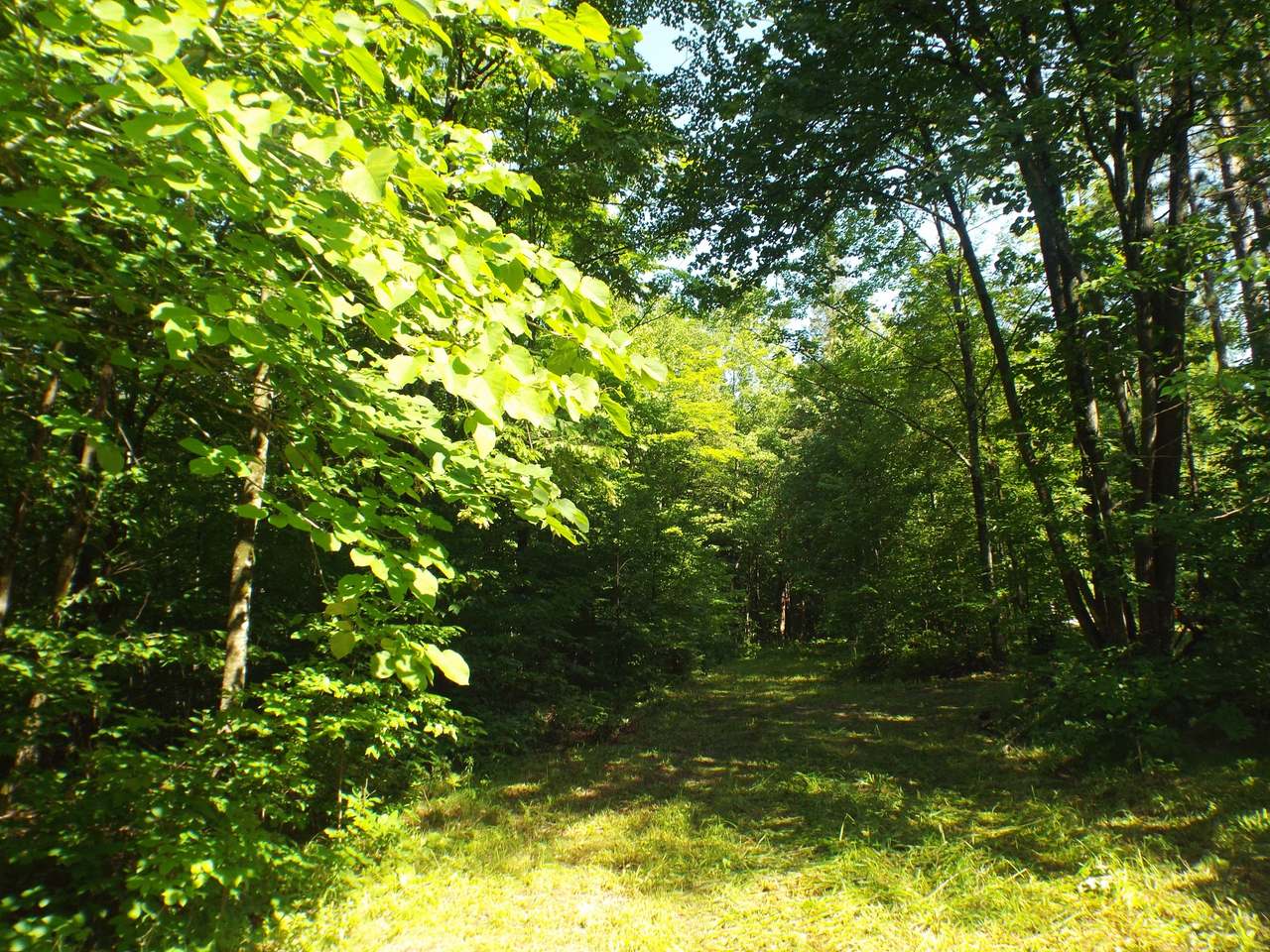 6564 Double Bend Road Argonne, WI 54511 - Photo 11 of 33 Gallery Image 11