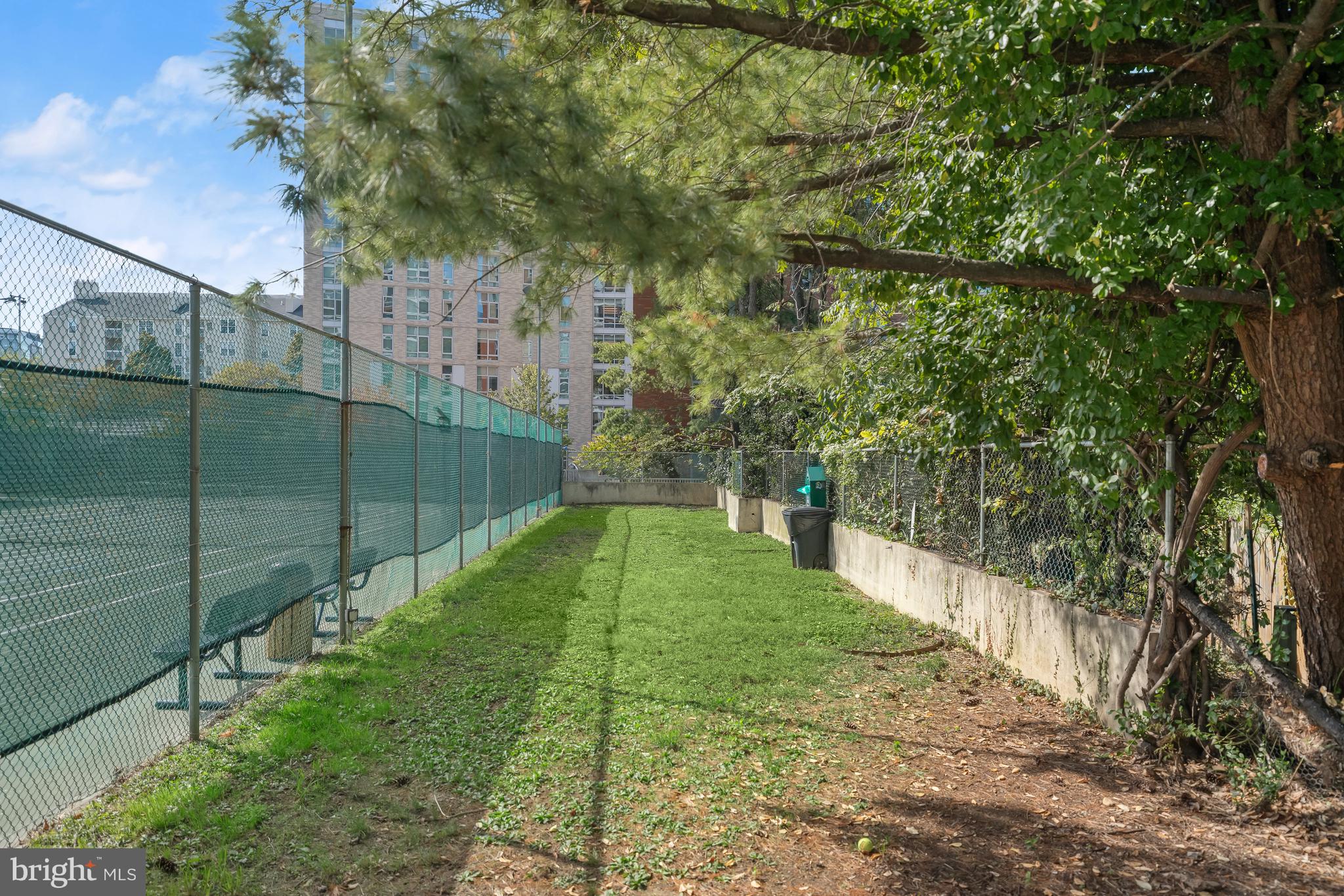 1530 Key Boulevard, Unit 125 Arlington, VA 22209 - Photo 24 of 27 Dog Run