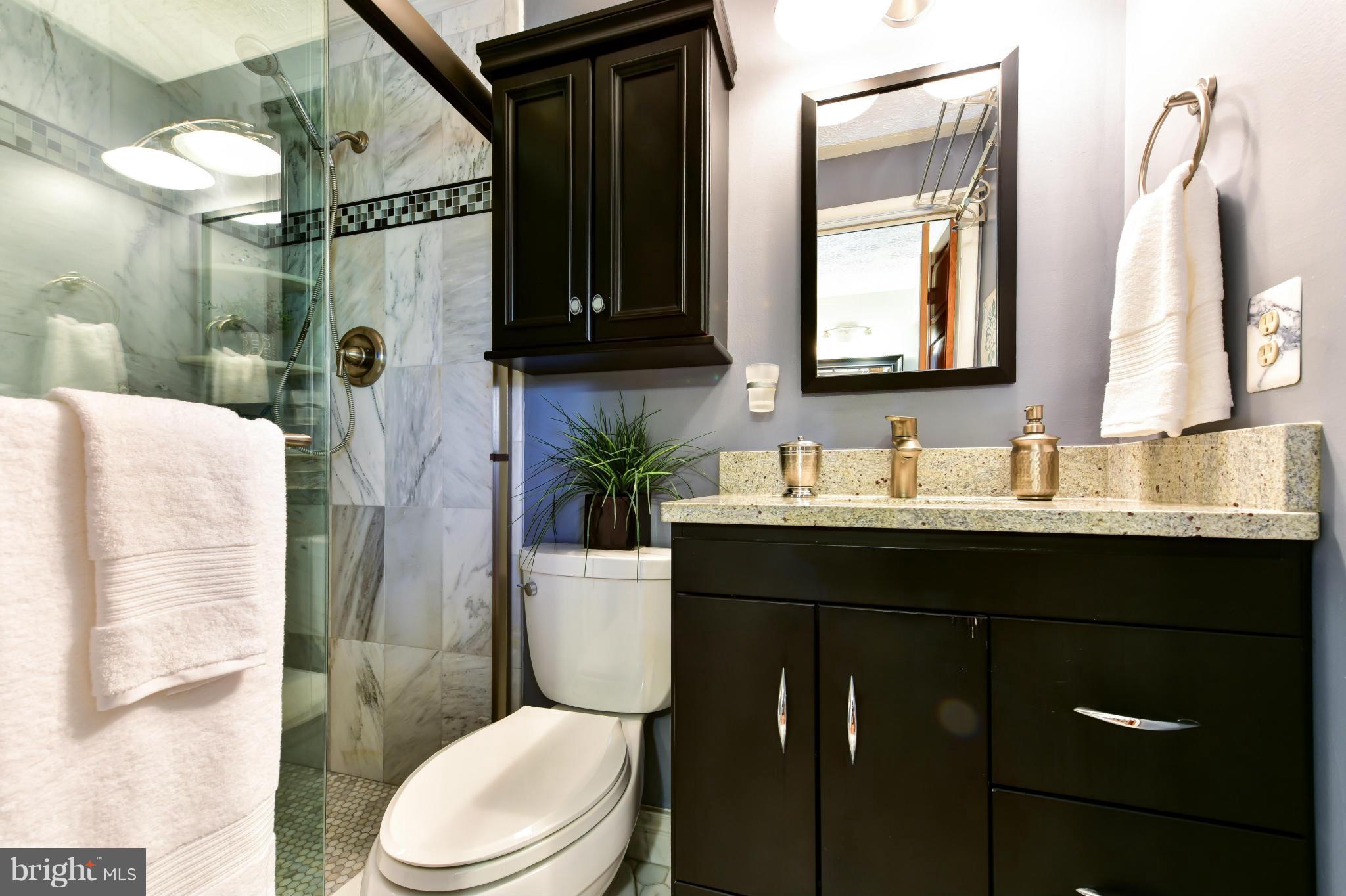 8348 Magic Leaf Road Springfield, VA 22153 - Photo 23 of 30 Bath