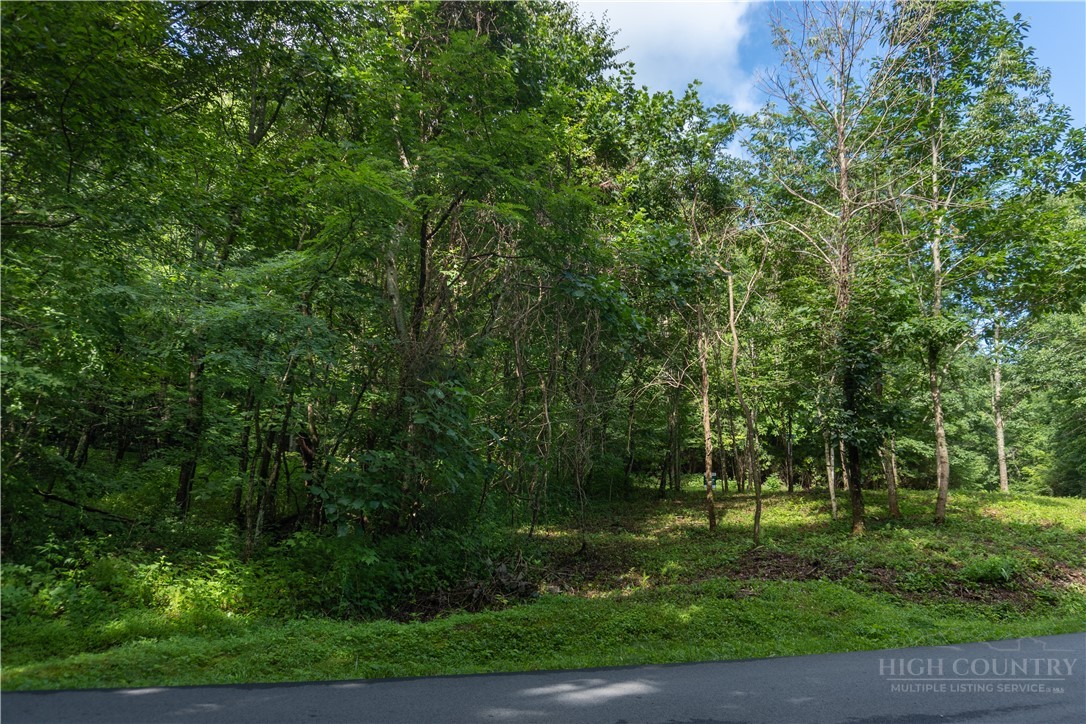 Lot 13 Hemlock Ridge Road Blowing Rock, NC 28605 - Photo 7 of 16 Gallery Image 7