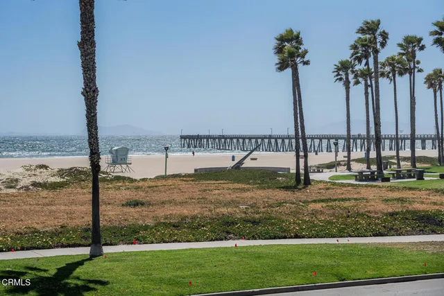 a view of a yard with palm trees