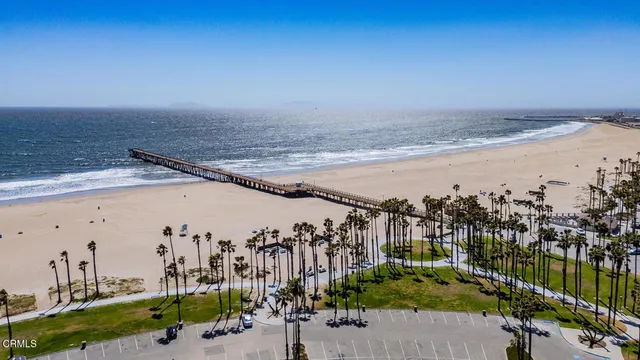 a view of ocean with a palm tree