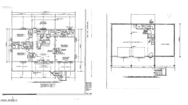 a view of a tree in a forest