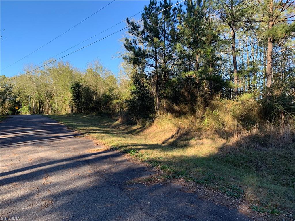0 Poplar Springs Road Rockingham, NC 28379 - Photo 3 of 3