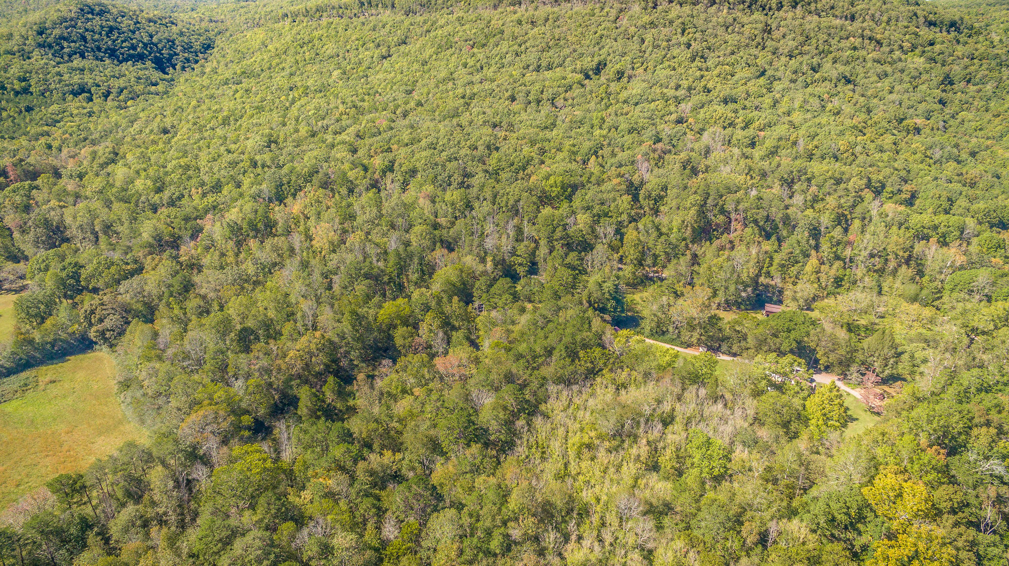 46.77 Roberts Mill Road, Unit 47 ACRES Hixson, TN 37343 - Photo 6 of 23 902 Roberts Mill Road-19